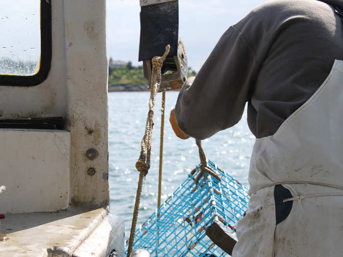 Every time Craig reaches one of his bright orange buoys, he reaches over the side of the boat and grabs the line with a hook.