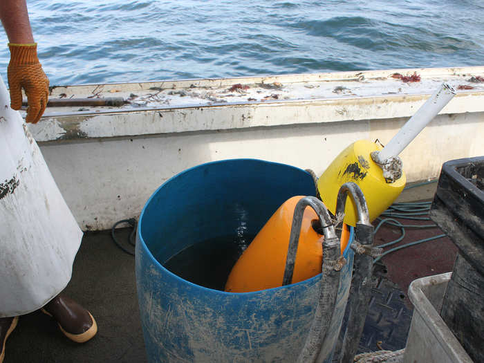 The buoy is immediately plunged into a barrel of hot water to boil away any algae and other sea gunk that clings to the surface.