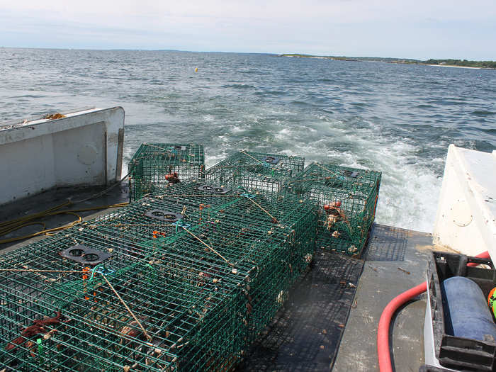 When all eight traps are pulled, Craig lowers the line into the water and the traps on the stern fly off one by one.