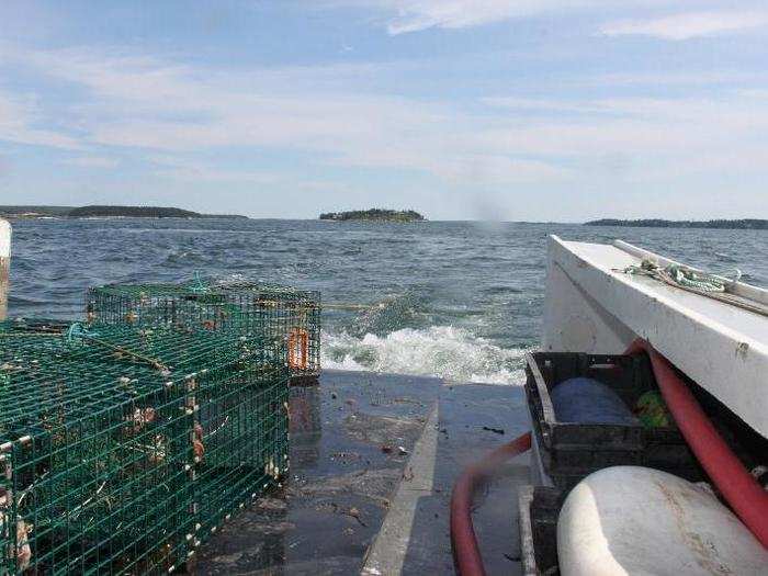 This all happens at a very rapid pace. The most important rule on a lobster boat is not to step in the rope. It