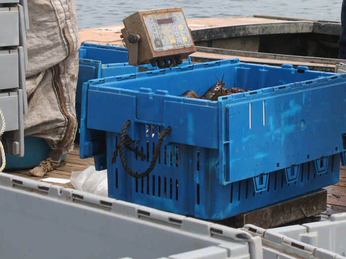 The pallets are unloaded from the fishing boat and weighed. Today