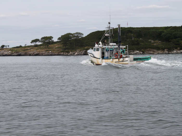 Even though the State has managed to avoid the same lobster glut that sent prices into a free fall last year, soft-shell lobsters in Portland are still only selling on the dock for around $2.75 per pound, much lower than the $3 to $4 per pound lobstermen were earning on average between the late 1990s and 2011.