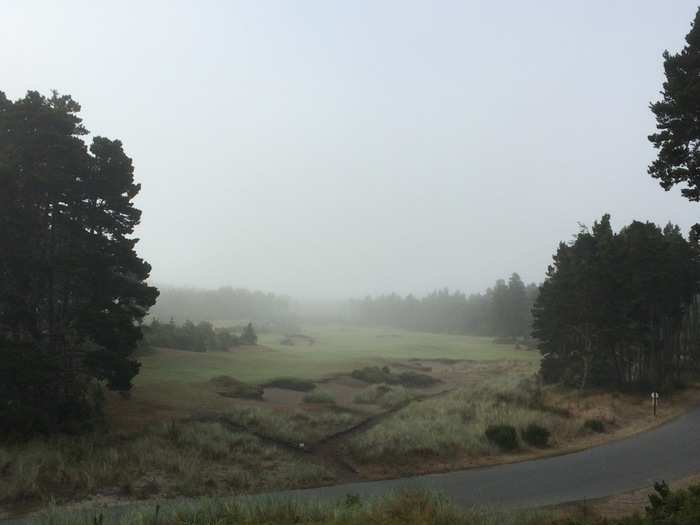 This is a view from the third hole at Bandon Trails, which is the most in-land of the courses.