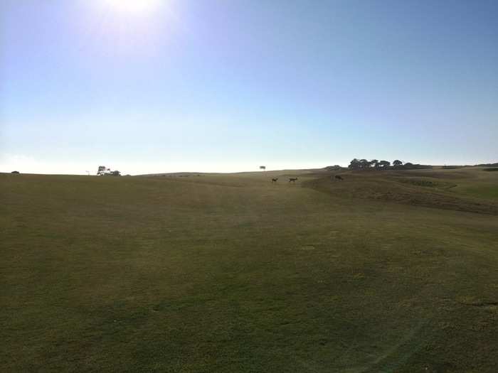 Here we are in the fairway at 17 of Bandon Dunes. Deer run behind us. The great fun of the open fairways is that there are a number of options for playing the course. You decide the strategy for each hole, not the guy who grows the rough and decides where you can and cannot hit the ball.