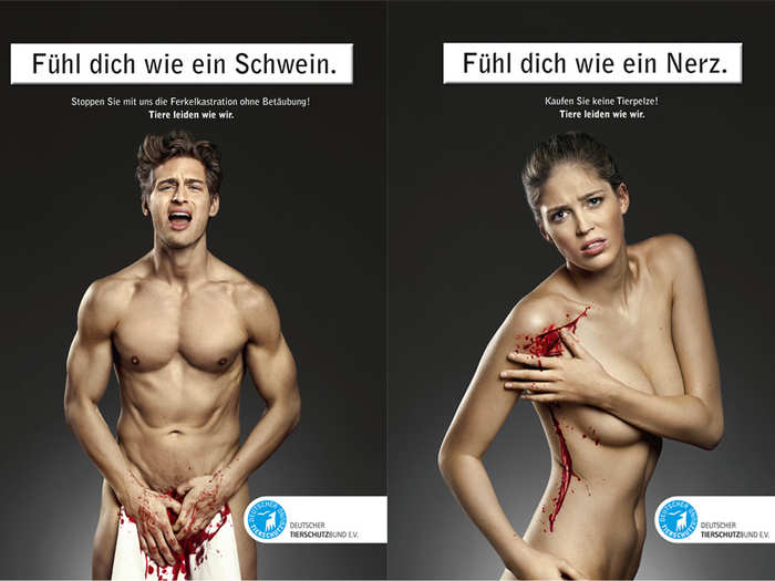 Deutscher Tierschutz Bund e.V shows that animals suffer like people do. "Pig," and "Mink." (Germany, 2010)