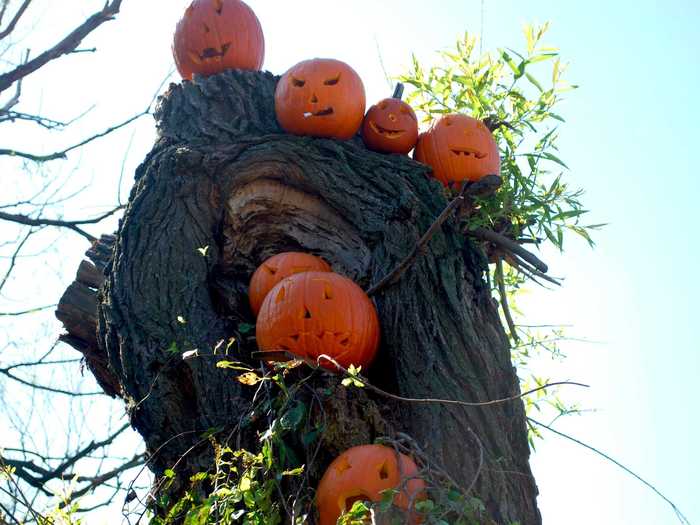 Go pumpkin picking. You can drive to a pumpkin patch in the countryside or stay local and choose your gourd at the Queens County Farm Museum, which is open on weekends in October.