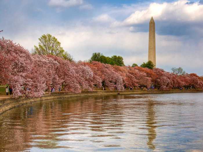 17. The nation’s capital, Washington, D.C., is particularly beautiful in the spring, during the annual Cherry Blossom Festival.