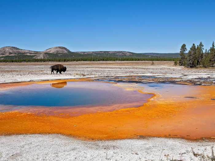 15. Yellowstone National Park in Wyoming — with its geysers, rivers, and wildlife — is a must-visit.