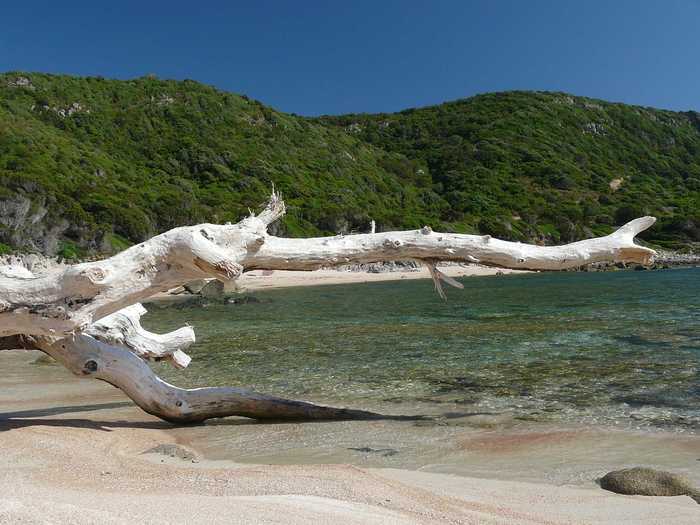 Camp out on a secluded beach on the island of Corsica.