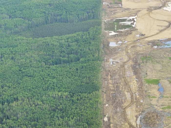 "All the operations, the open pit mining, the large, oily tailing ponds, the refineries, the whole thing situated somewhat incongruously in the boreal forest, is stunning," he explains.