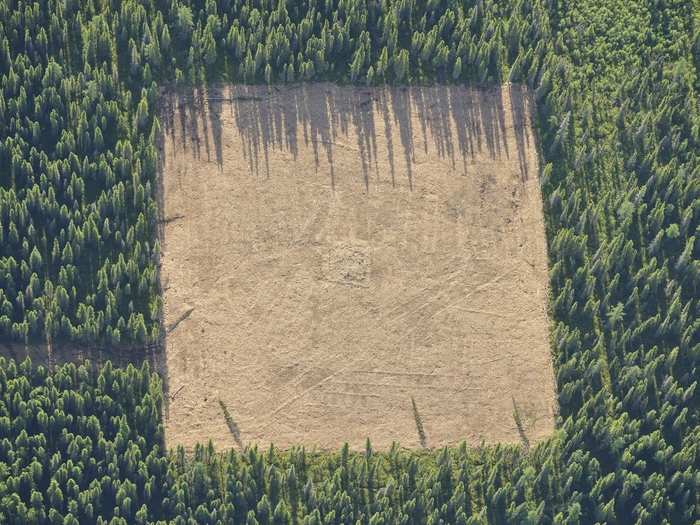 In 2013, Helbig spent seven weeks traveling all around the Athabasca region. He says he saw a massive growth  from his prior visit, with increases in both types of mining, especially SAGD. "They’re sprouting up in the middle of nowhere. You might be 50, 60, 80 miles from nowhere and then all the sudden there’s this thing in the middle of the woods," he tells Business Insider.