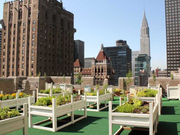 The hotel puts its rooftop to good use, cultivating gardens of fresh vegetables and herbs and beehives for honey.