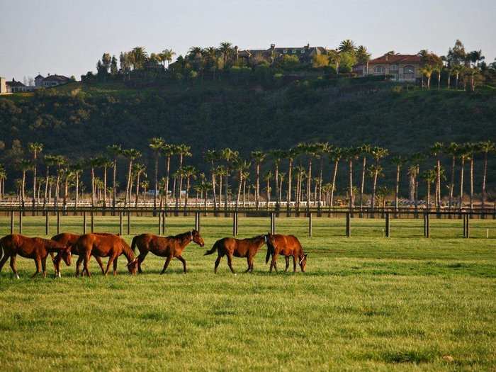 They had hoped to sell to someone who also had a passion for horses.