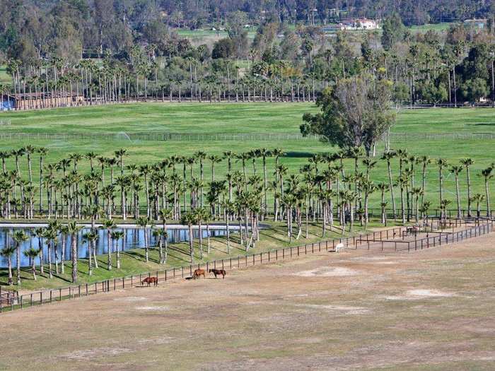 And these grounds are perfect for a horse enthusiast.