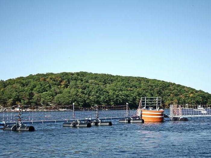 One side of the base is closed off with an underwater buoy fence, which Port Operations must tug open or closed each time a vessel needs to enter or leave the base.