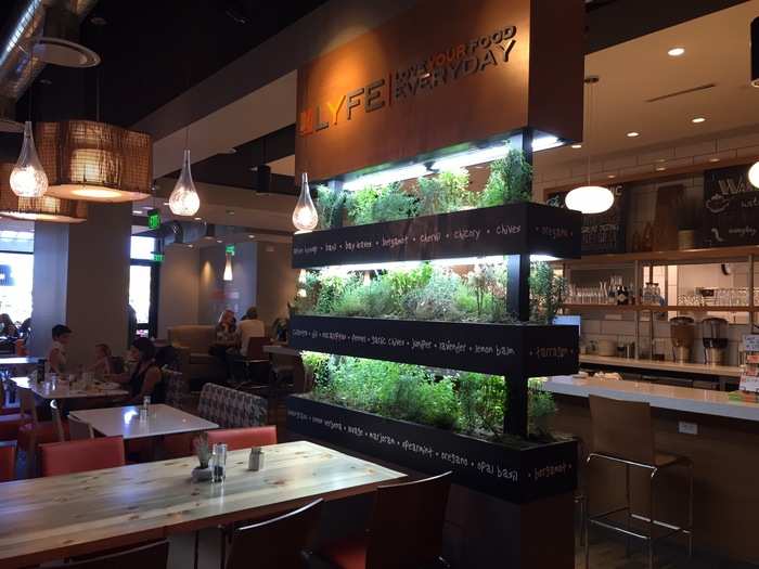 This wall of herbs is central to all LYFE Kitchen locations. It displays basil, bay leaves, lavender, chives, oregano, and a variety of other herbs used on the menu.