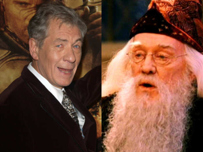 Ian McKellen turned down the role of Dumbledore in the "Harry Potter" franchise.