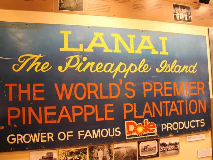 Lanai is known as the "Pineapple Island" because it once was home to a plantation that produced 75% of the world