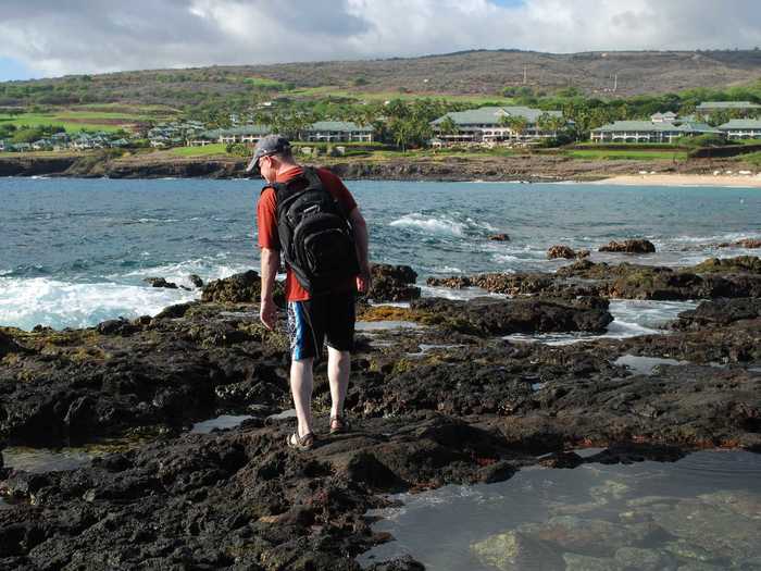 You can peek at some sea creatures in tide pools just a short walk from the resort.