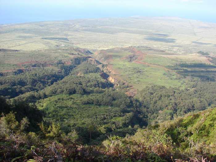 The Munro Trail, which can be hiked, biked, or driven, takes you to the highest point of Lanai at 3,370 feet. You