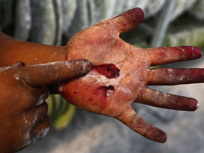 A worker uses his fingers to crush a cochineal insect, revealing its deep red color.