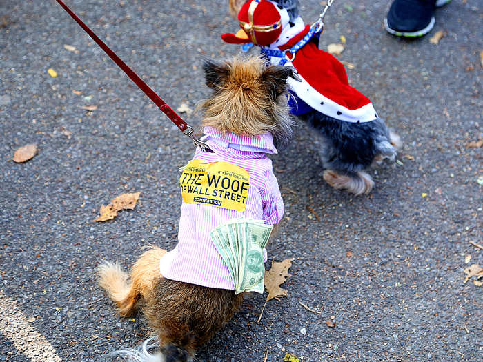 Even with the success of his movie, the "Woof of Wall Street" still had time to greet fans.