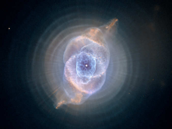 The star at the center of this Hubble image of the Cat