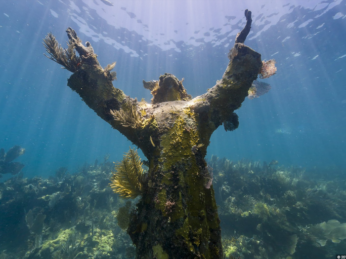 This bronze "Christ of the Abyss" statue was placed on the sea floor of the Florida Keys in 1965.