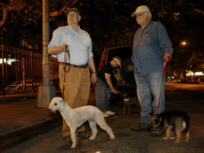 The R.A.T.S. have a few favorite sites in Lower Manhattan to bring their dogs rat hunting, including Theatre Alley and the Fulton Fish Market. Terriers, Dachshunds, and other small dogs have been bred for these hunts for centuries. Group members say that once the hunter instinct "clicks on" for the first time in a dog, it never turns off.