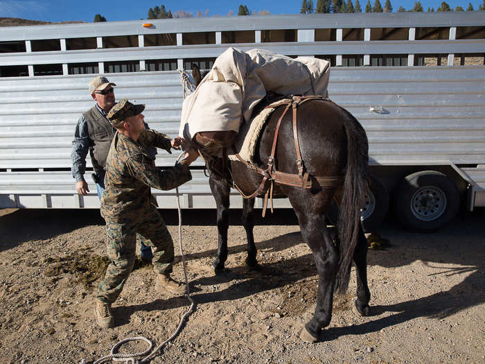 MWTC is one of the only facilities in the US Department of Defense that teaches extensive horsemanship ...