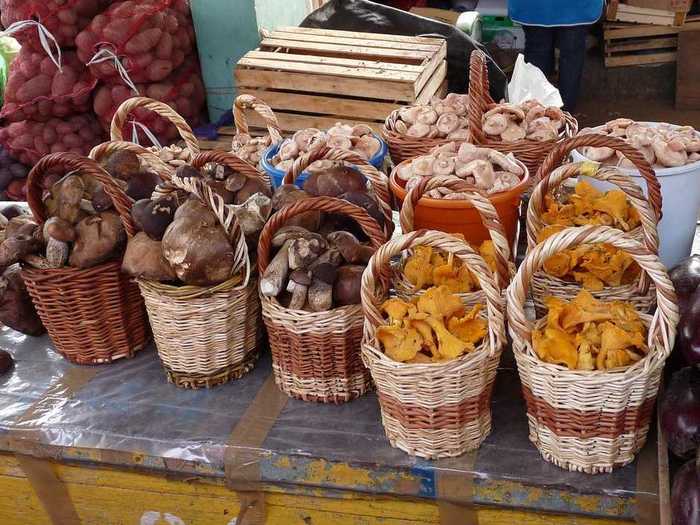 Russians pick mushrooms for fun.