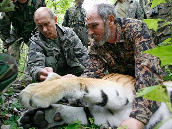 Putin once saved a TV crew from a Siberian tiger — and later acknowledged it was staged.