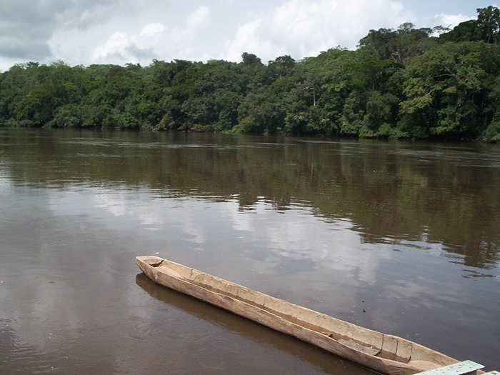 Dja Faunal Reserve, Cameroon. Another protected area around a river, the Dja is also an important communication route in Cameroon.