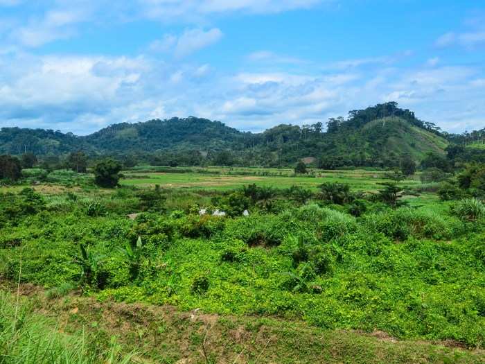 Mount Nimba Strict Nature Reserve. The mountains in the north of Ivory Coast are simply breathtaking.