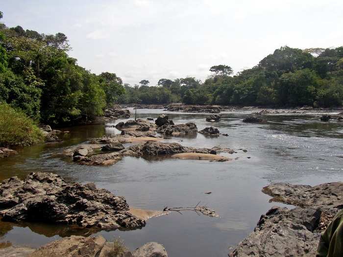 Okapi Wildlife Reserve, Democratic Republic of the Congo. The reserve takes its name from the okapi, a specimen of antelope of the Congo river basin.