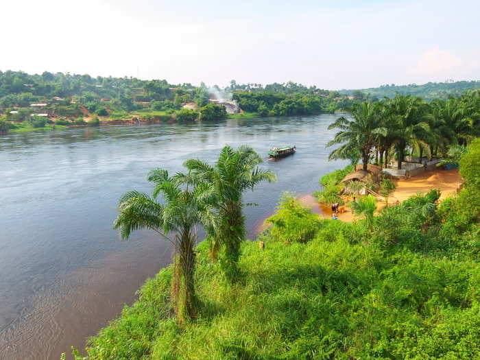 Salonga National Park, Democratic Republic of the Congo. The park is between the Kwilu and Lulilaka rivers, the most flourishing part of the African jungle.