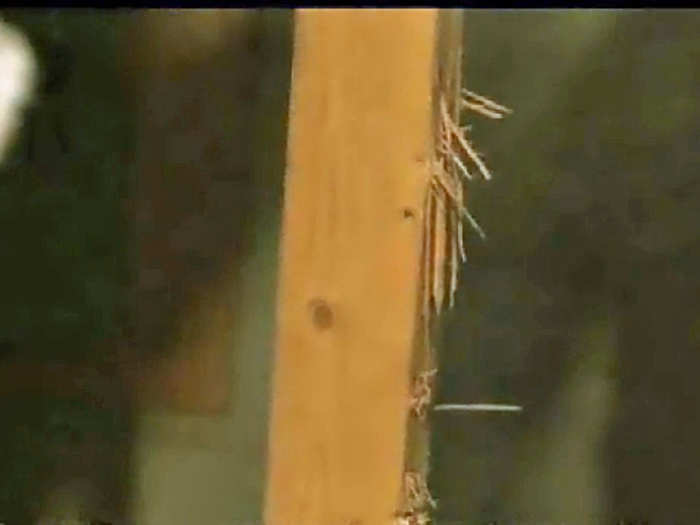 Some load-bearing poles were damaged by bullets.