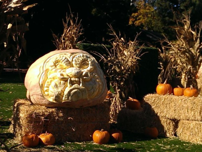 When it comes to holiday parties, Mayer spares no detail. On Halloween, she gives out king-sized candy bars to trick-or-treaters and decorates her front yard with professionally carved pumpkins. For Christmas, she put an ice skating rink in her backyard and brought in fake snow.