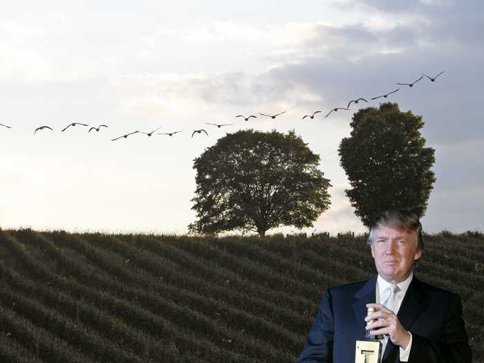 Donald Trump, Trump Winery, Virginia