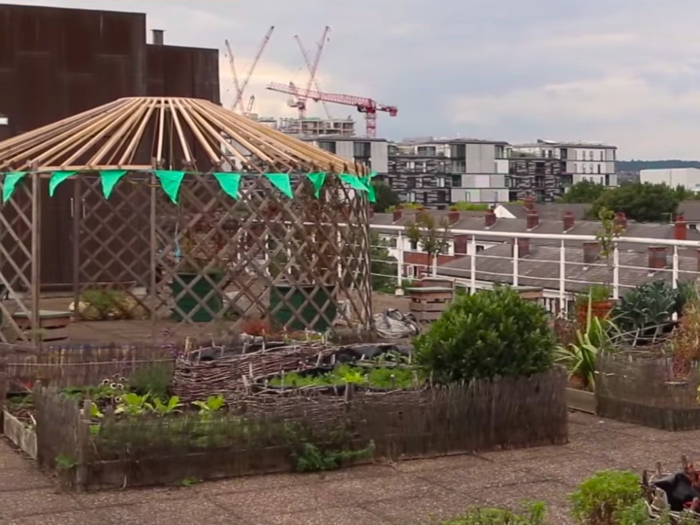 Communications agency Wolff Olins keeps bee hives on its central London roof garden.