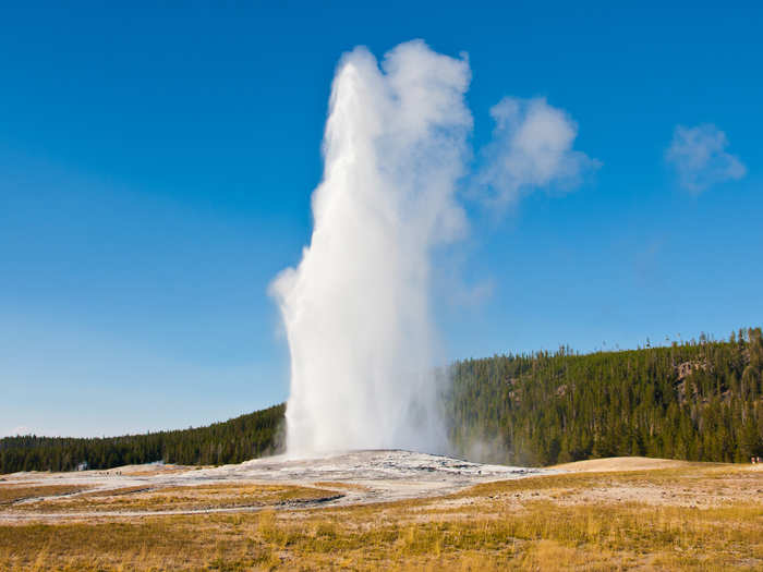 Wait for Old Faithful to erupt in Wyoming