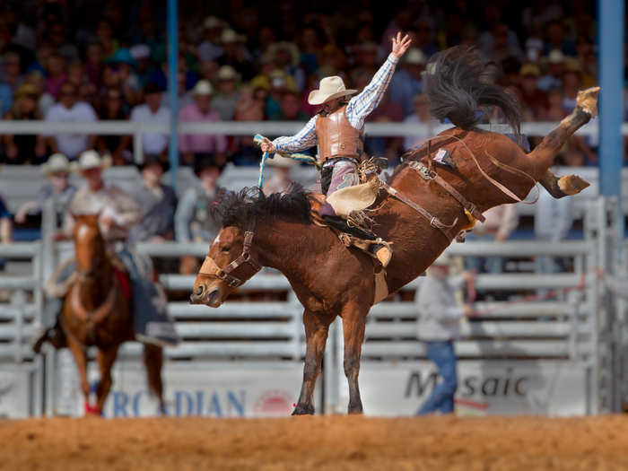 Cheer on cowboys at a classic American rodeo, like the National Western Rodeo in Denver, Colorado.