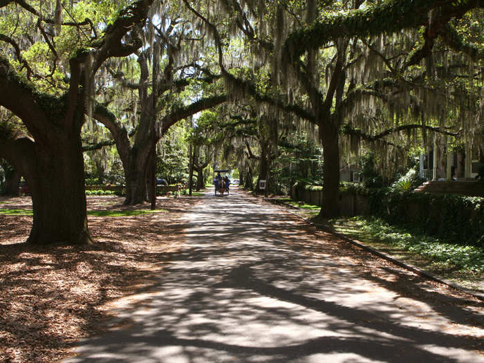 Take a romantic horse-drawn carriage ride in Beaufort, South Carolina, under Spanish moss-draped oak trees.