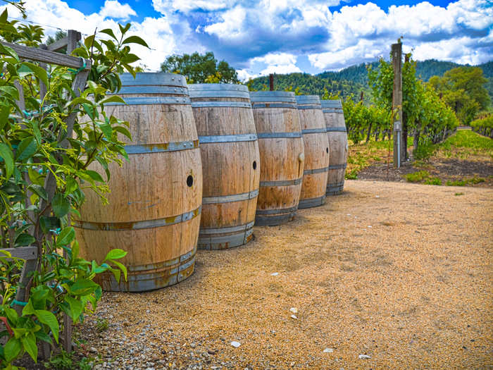 Go wine tasting in Napa Valley, California.