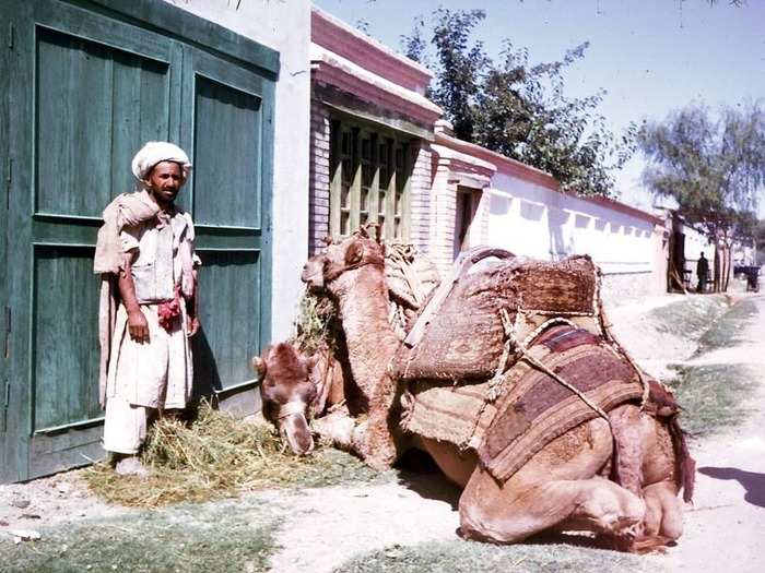 But while urban Afghanistan became modern, rural Afghanistan was still much as it had been decades before.