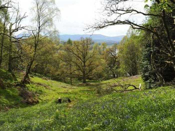 Bestow a title by buying land on a Scottish estate.