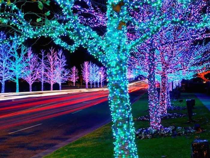 At Honor Heights Park in Muskogee, Oklahoma, you can enjoy 120 acres of decorated trees and bushes.