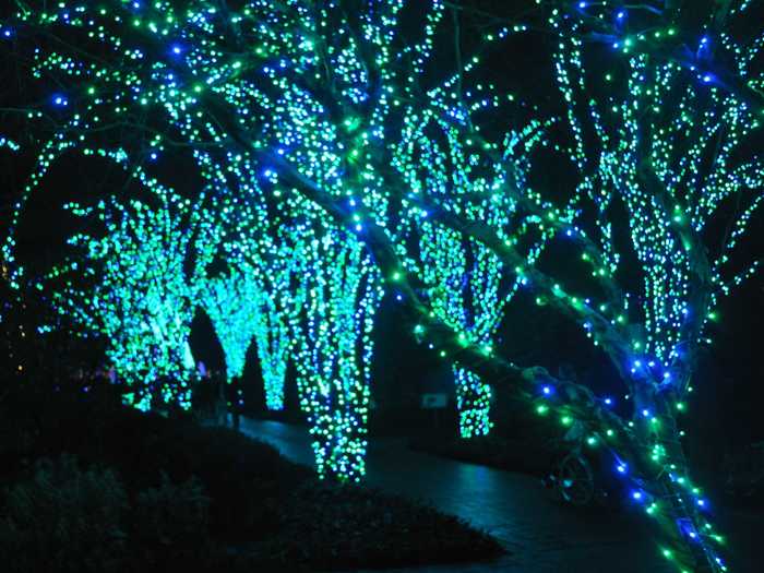 The Atlanta Botanical Garden creates a massive display inspired by flowers.