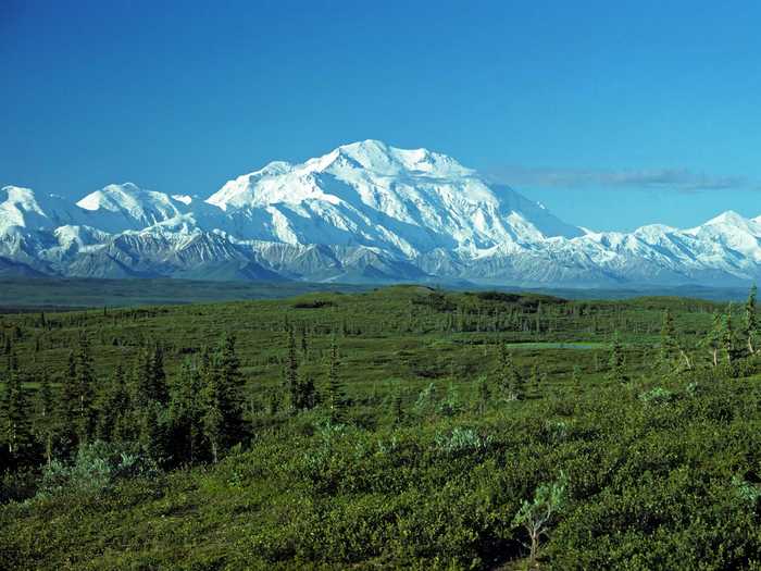 ALASKA: Visit Denali National Park to see a stunning array of wildlife and gaze at Mt. McKinley, the highest mountain peak in North America, with an elevation of 20,237 feet.