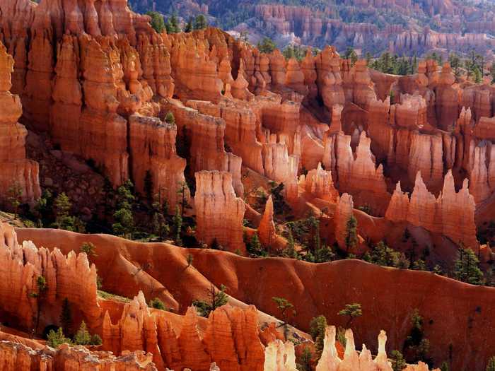 UTAH: Behold the hoodoos of Bryce Canyon National Park. These unique rock formations are created by weather and stream erosion.